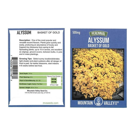 Mountain Valley Seed Company Alyssum Basket of Gold Alyssum Flower Seeds, Drought Tolerant