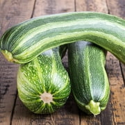 Italian Striped Zucchini Summer Squash Garden Seeds - 4 g Packet ~36 Seeds - Non-GMO, Heirloom - Vegetable Gardening Seed