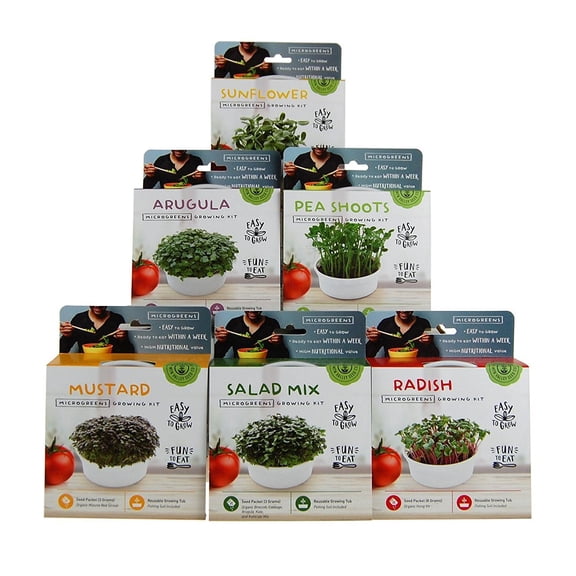 Mountain Valley Seed Company Mini Microgreens Growing Kit with Organic Seeds (6 Count)