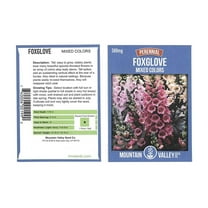 Mountain Valley Seed Company Mixed Color Foxglove Flower Seeds 500 Mg Packet, Non-GMO, Perennial