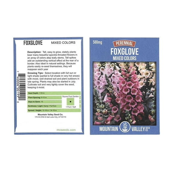 Mountain Valley Seed Company Mixed Color Foxglove Flower Seeds 500 Mg Packet, Non-GMO, Perennial