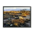 thumbnail image 1 of Mountain View Desert Vegetation Landscape Photograph Black Framed Art Print Wall Art, 1 of 7
