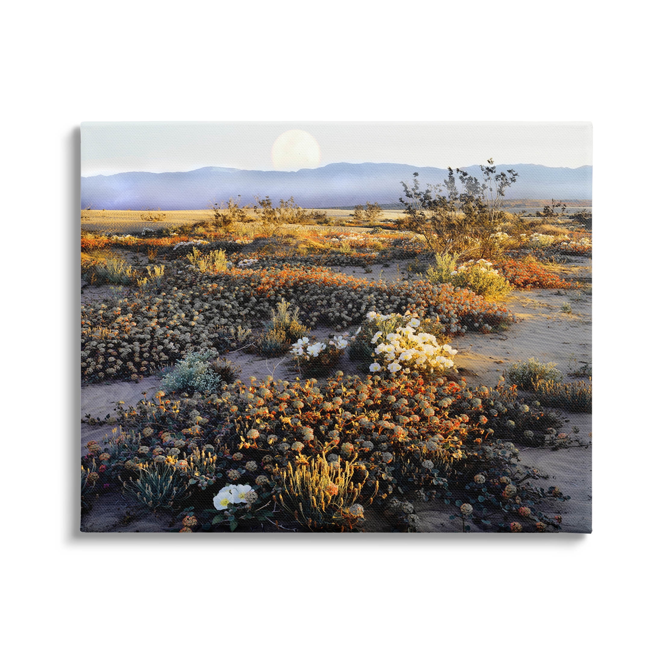 Mountain View Desert Vegetation Landscape Photograph Gallery Wrapped Canvas Print Wall Art