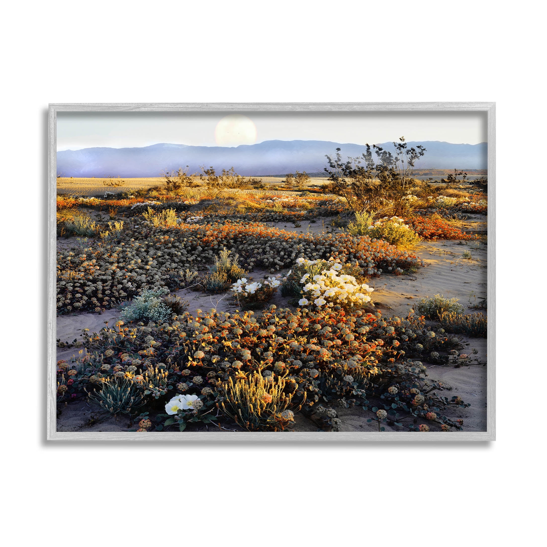 Mountain View Desert Vegetation Landscape Photograph Gray Framed Art Print Wall Art