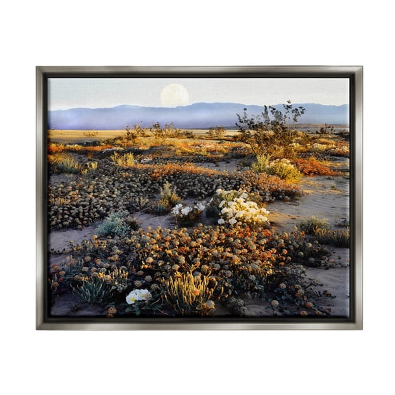 Mountain View Desert Vegetation Landscape Photograph Luster Gray Framed Art Print Wall Art