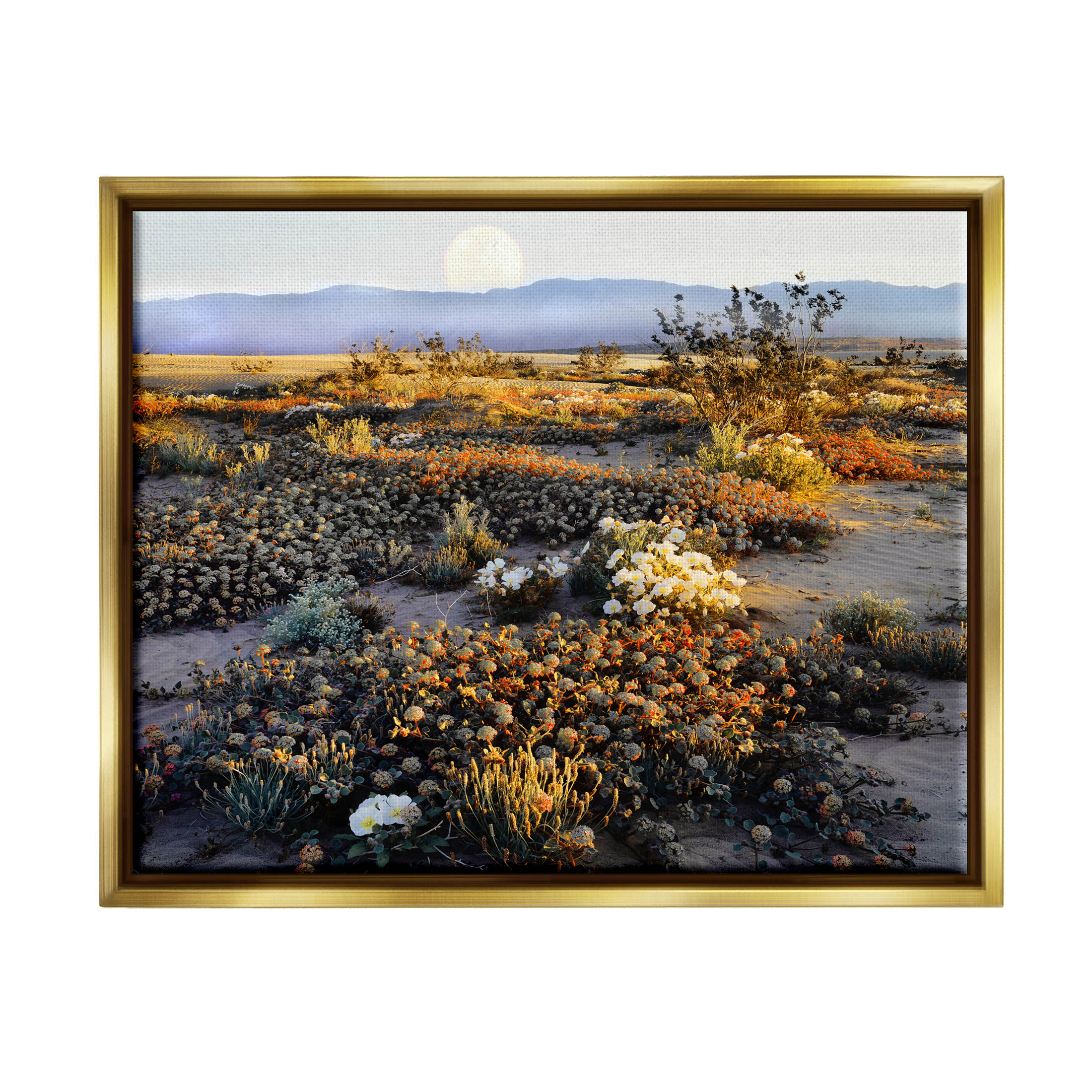 Mountain View Desert Vegetation Landscape Photograph Metallic Gold Framed Art Print Wall Art