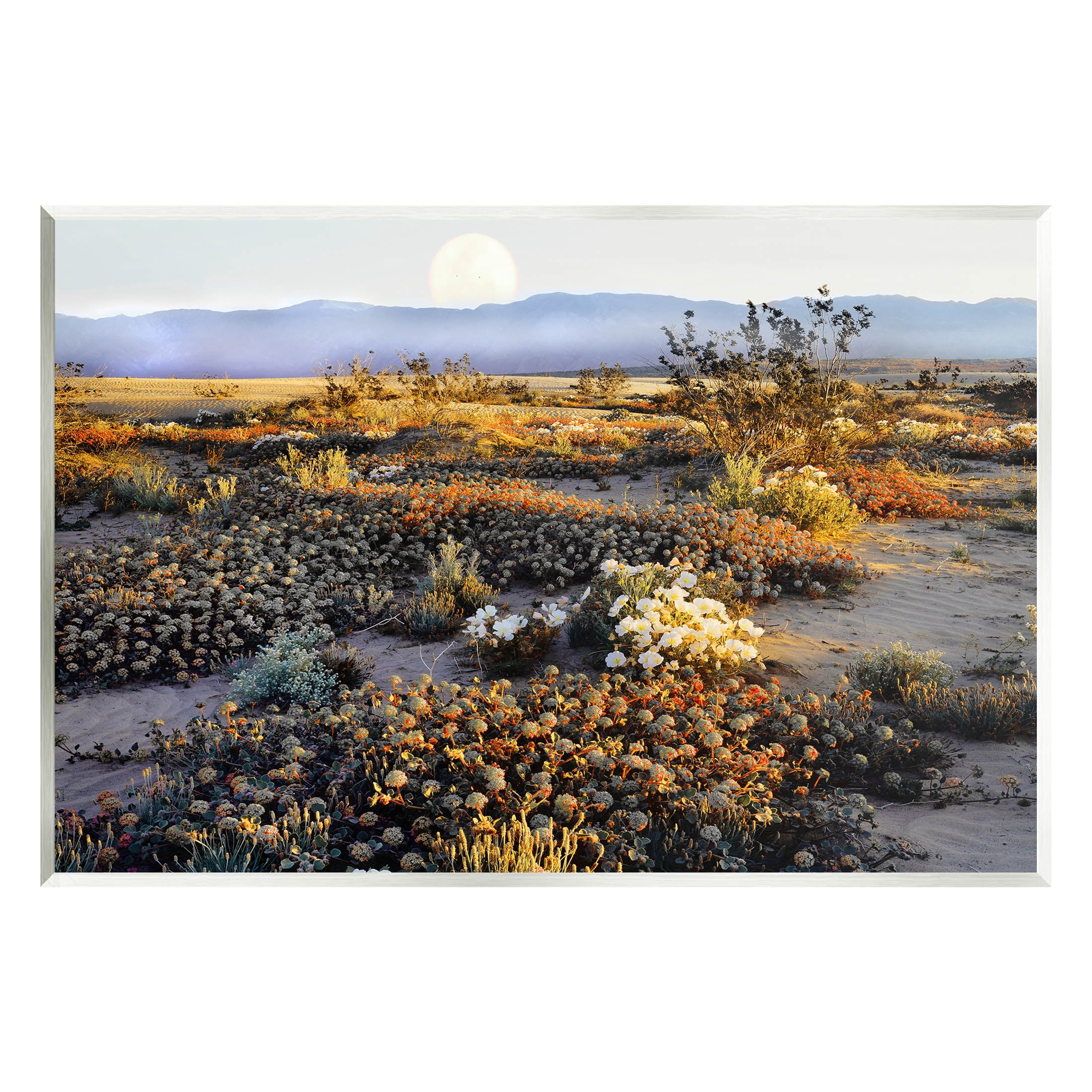 Mountain View Desert Vegetation Landscape Photograph Unframed Art Print Wall Art