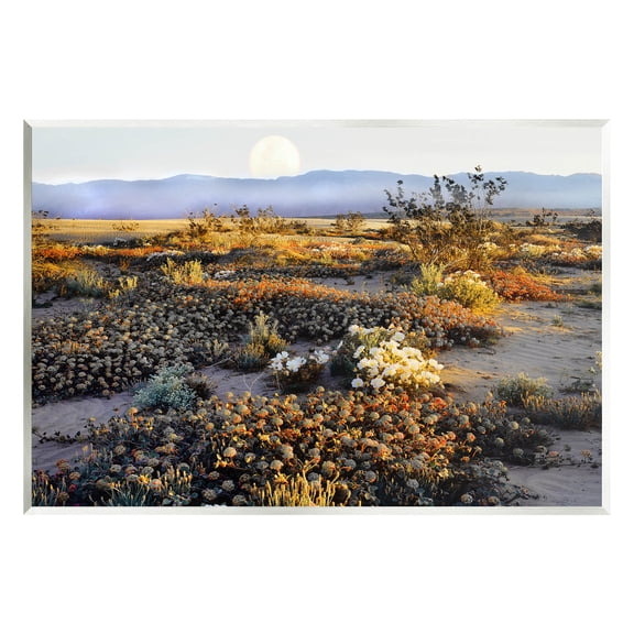 Mountain View Desert Vegetation Landscape Photograph Unframed Art Print Wall Art