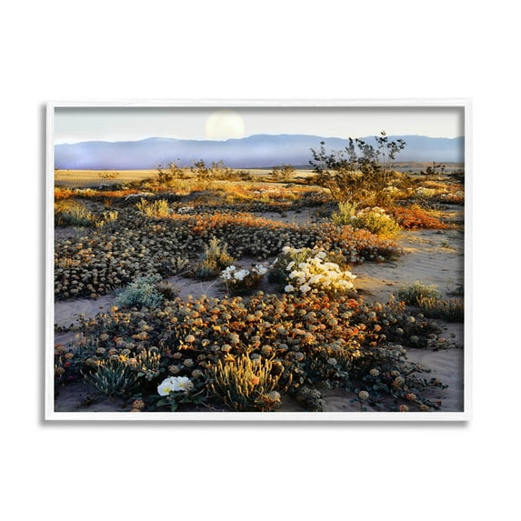 Mountain View Desert Vegetation Landscape Photograph White Framed Art Print Wall Art