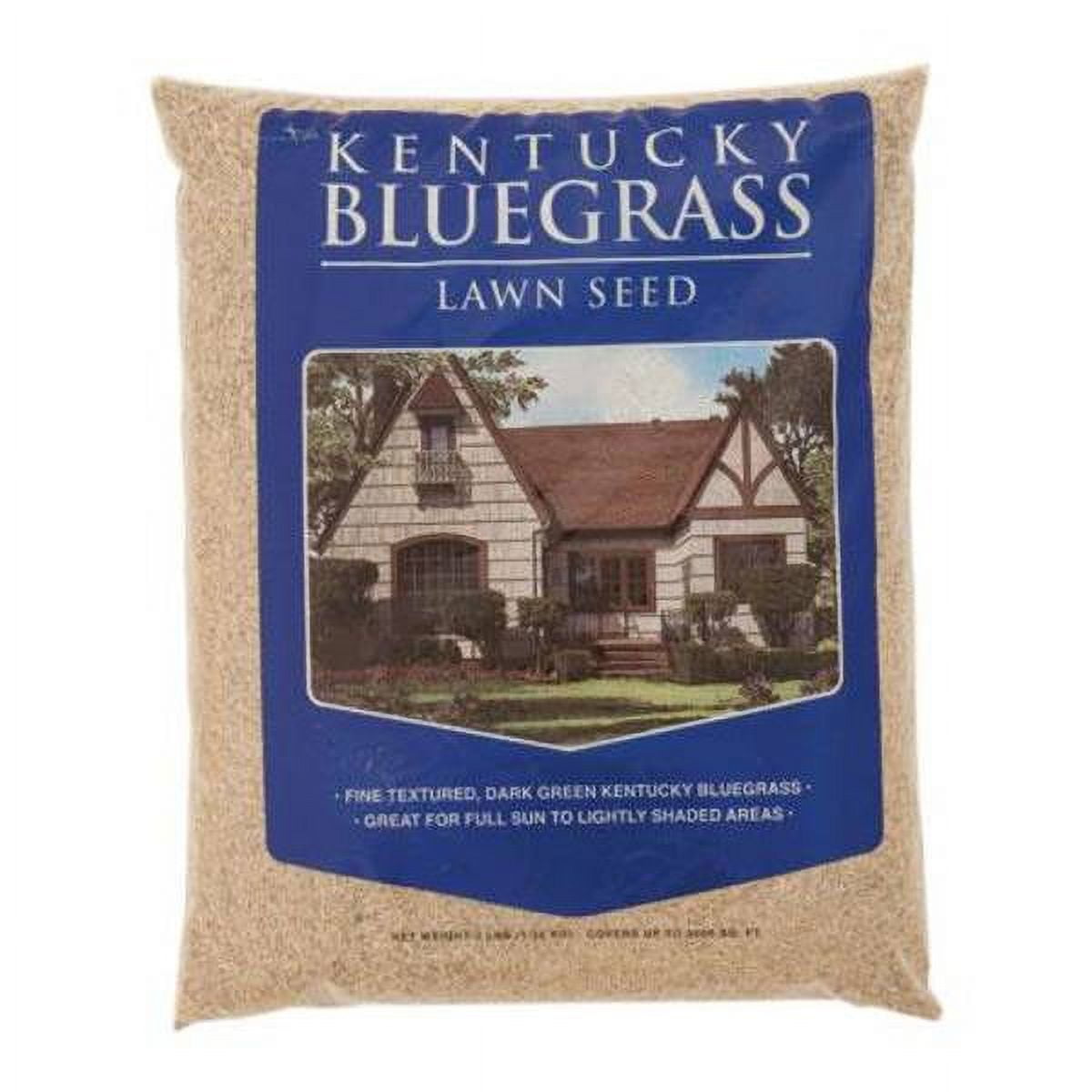 Mountain View Seeds Kentucky Bluegrass Grass Seed