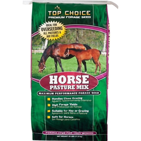 Mountain View Seeds Top Choice Horse Pasture Mix Forage Seed - Pack of 6