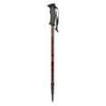 thumbnail image 1 of Mountain Warehouse Hiker Trekking Poles, 1 of 5
