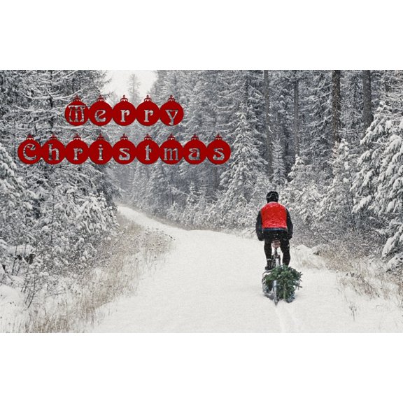 Mountain biker bringing home the family Christmas Tree near Whitefish Montana (MR) Poster Print (17 x 11)