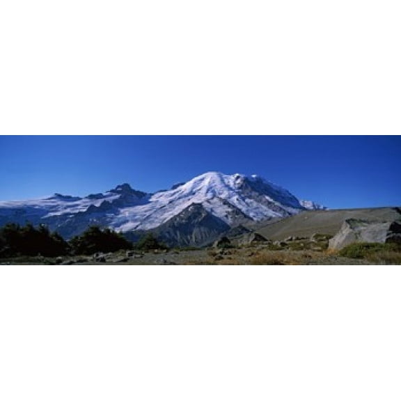Mountain covered with snow, Mt Rainier, Mt Rainier National Park, Pierce County, Washington State, USA Poster Print (36 x 12)
