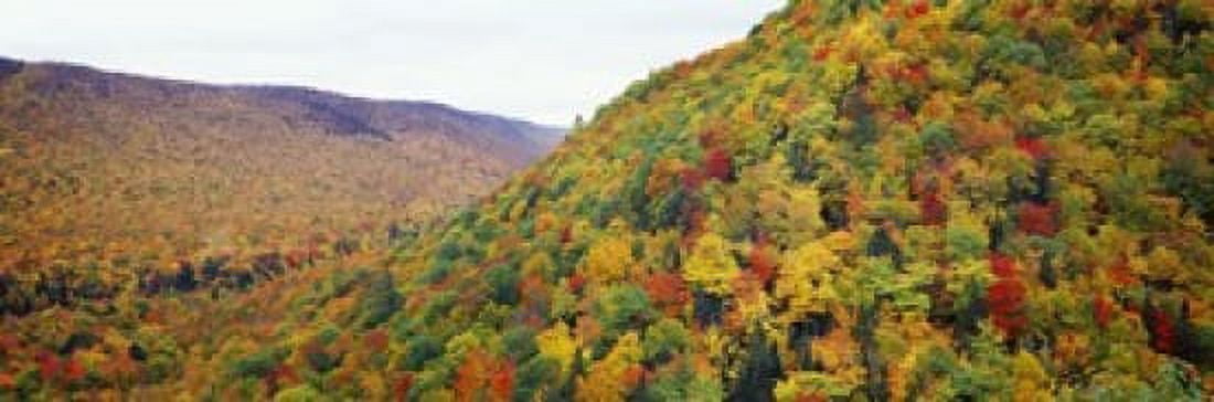 Mountain forest in autumn Nova Scotia Canada Canvas Art - Panoramic Images (18 x 6)