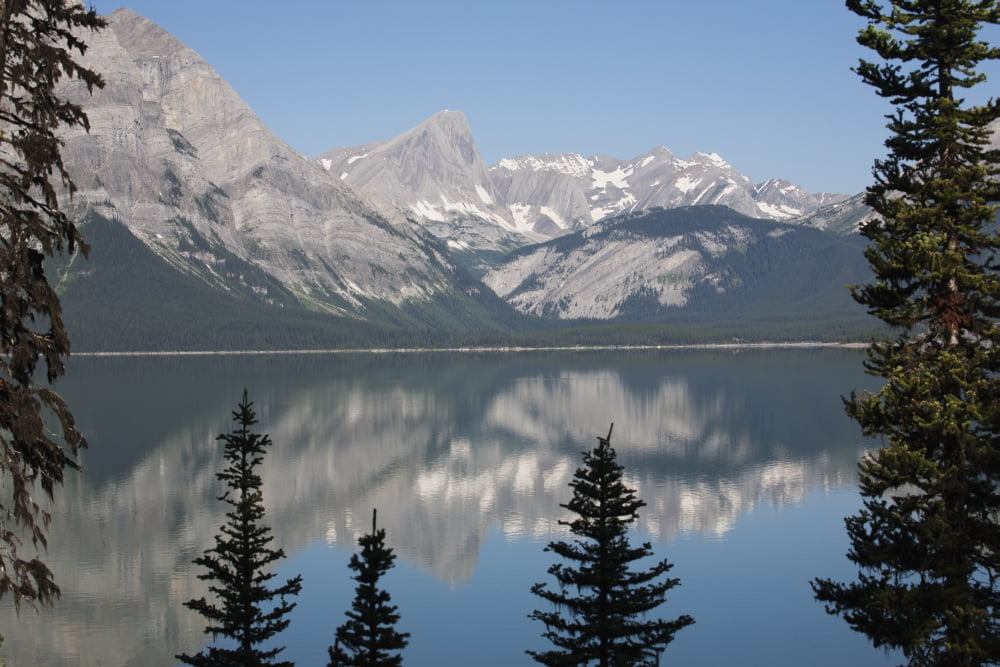 Mountain lake reflecting mountain range with snow and blue sky framed by trees in kananaskis provincial parkAlberta canada Canvas Art - Michael Interisano Design Pics (18 x 12)