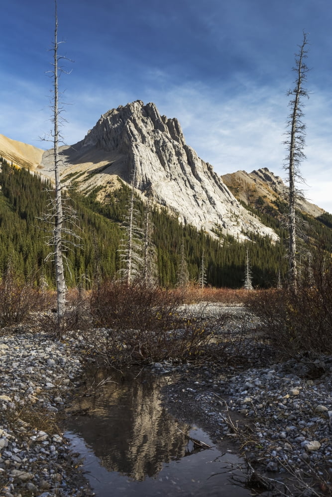 Mountain peak reflecting in still rocky stream in alpine meadow with blue sky and clouds Kananaskis Provincial Park Alberta Canada Canvas Art - Michael Interisano Design Pics (12 x 19)