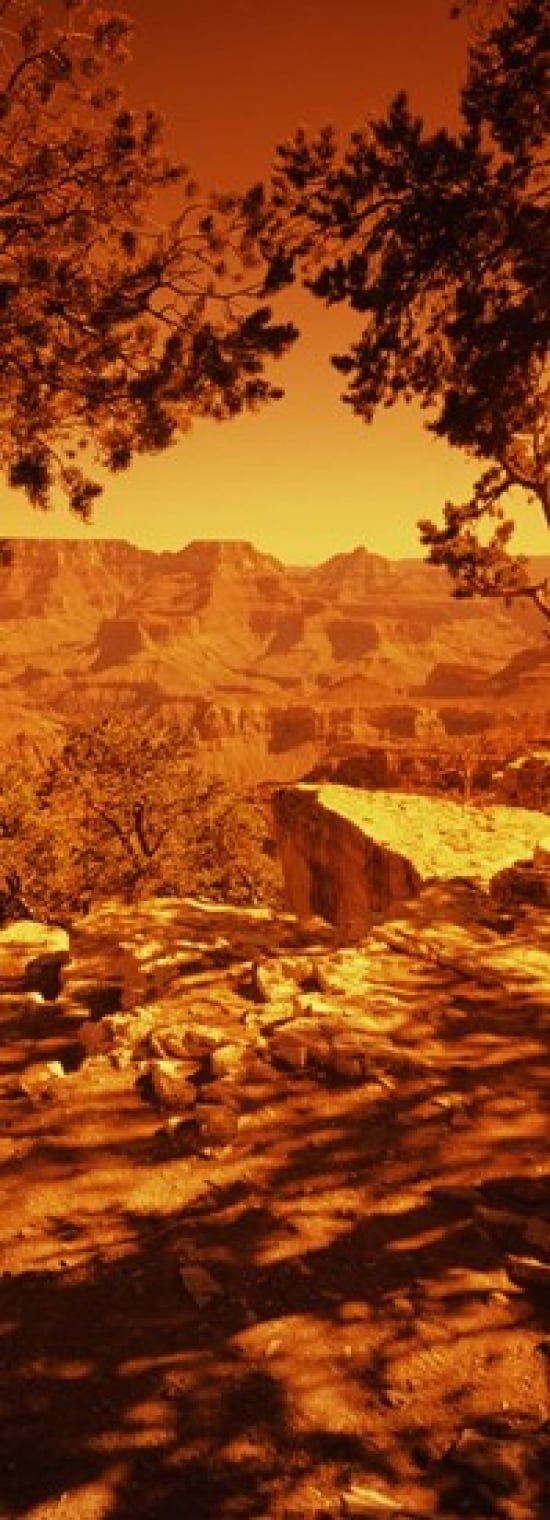 Mountain range Mather Point South Rim Grand Canyon National Park Arizona USA Canvas Art - Panoramic Images (18 x 7)