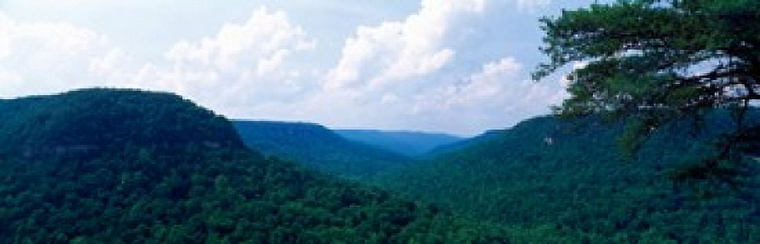 Mountain range Milligans Overlook Creek Falls State Park Pikeville Bledsoe County Tennessee USA Canvas Art - Panoramic Images (18 x 6)