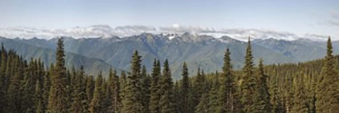 Mountain range Olympic Mountains Hurricane Ridge Olympic National Park Washington State USA Canvas Art - Panoramic Images (18 x 6)