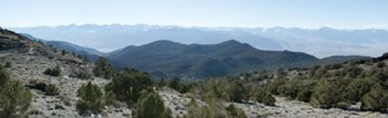 Mountain range White Mountains Eastern Sierra Bishop Inyo County California USA Canvas Art - Panoramic Images (38 x 12)