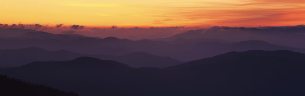 Mountain range at sunrise Great Smoky Mountains National Park North Carolina USA Canvas Art - Panoramic Images (36 x 12)