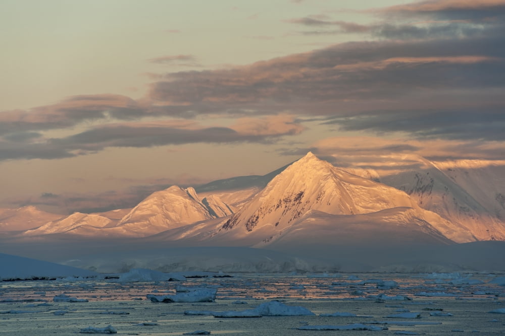 Mountain range covered by glaciers in the Gerlache Strait at sunset Antarctic Peninsula Canvas Art - Daisy Gilardini Design Pics (19 x 12)