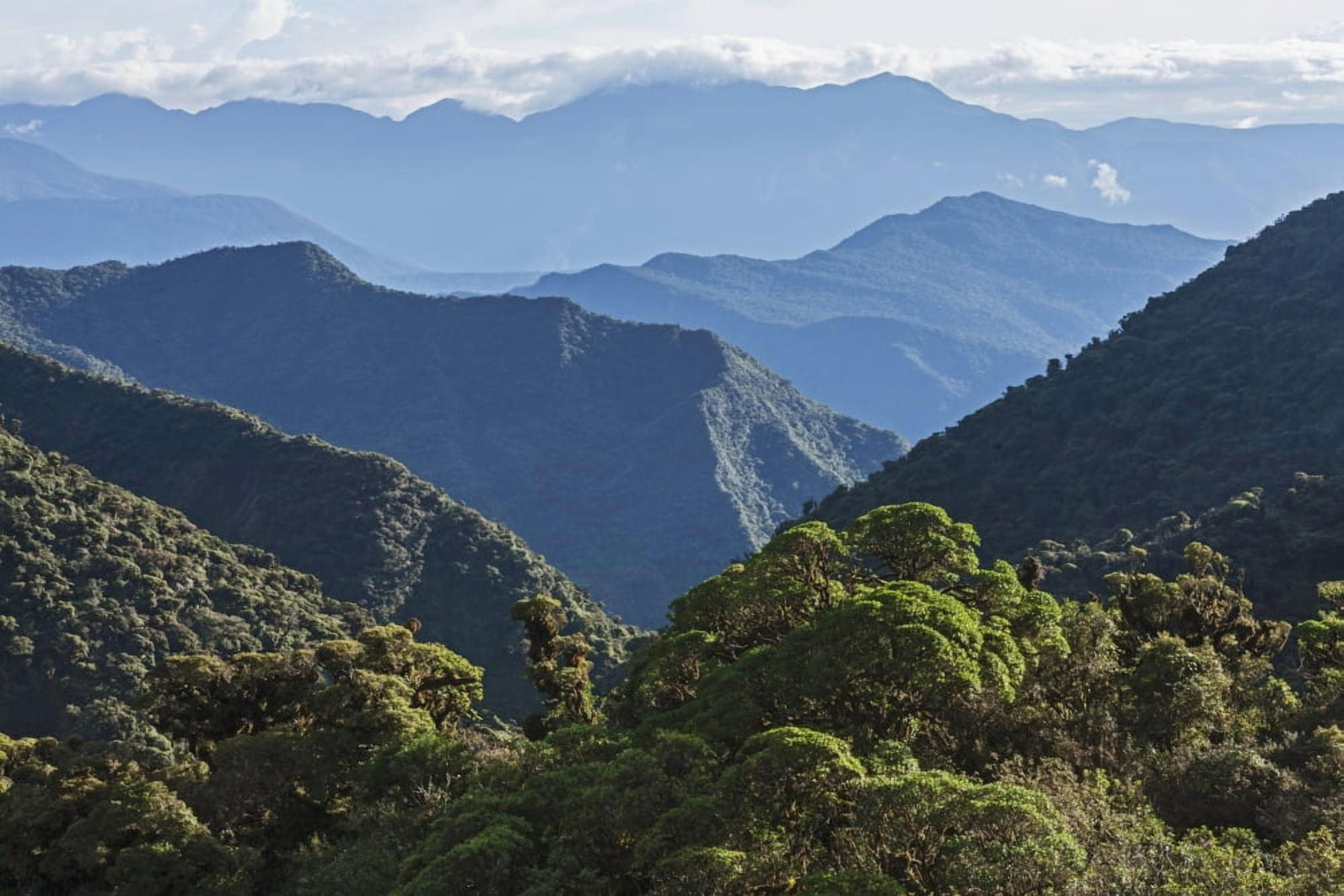 Mountain range east of Pojo Cochabamba Bolivia Canvas Art - Carl Bruemmer Design Pics (38 x 24)