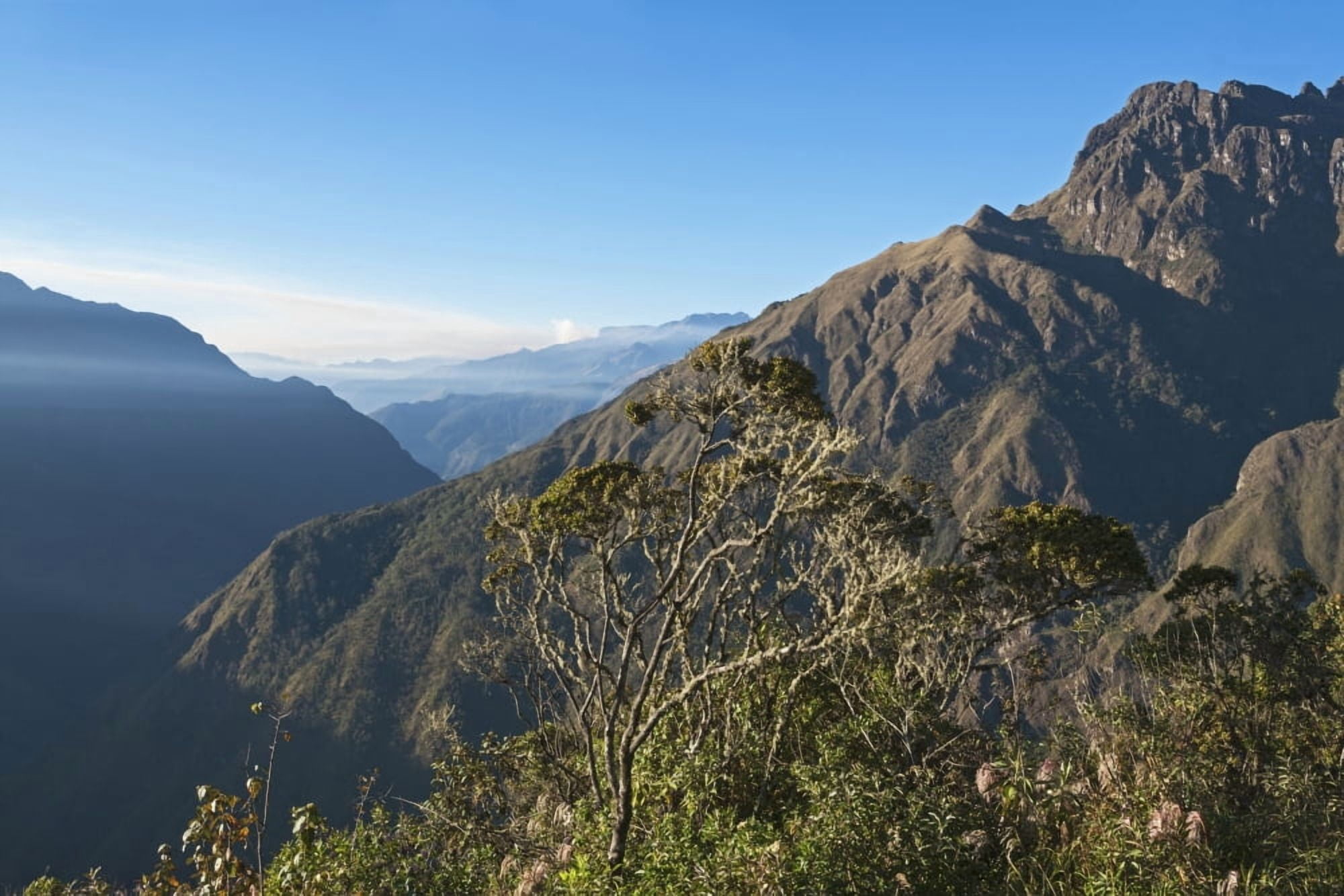 Mountain range in between the Altiplano and the Yungas near Coroico Departamento La Paz Bolivia Canvas Art - Carl Bruemmer Design Pics (38 x 24)