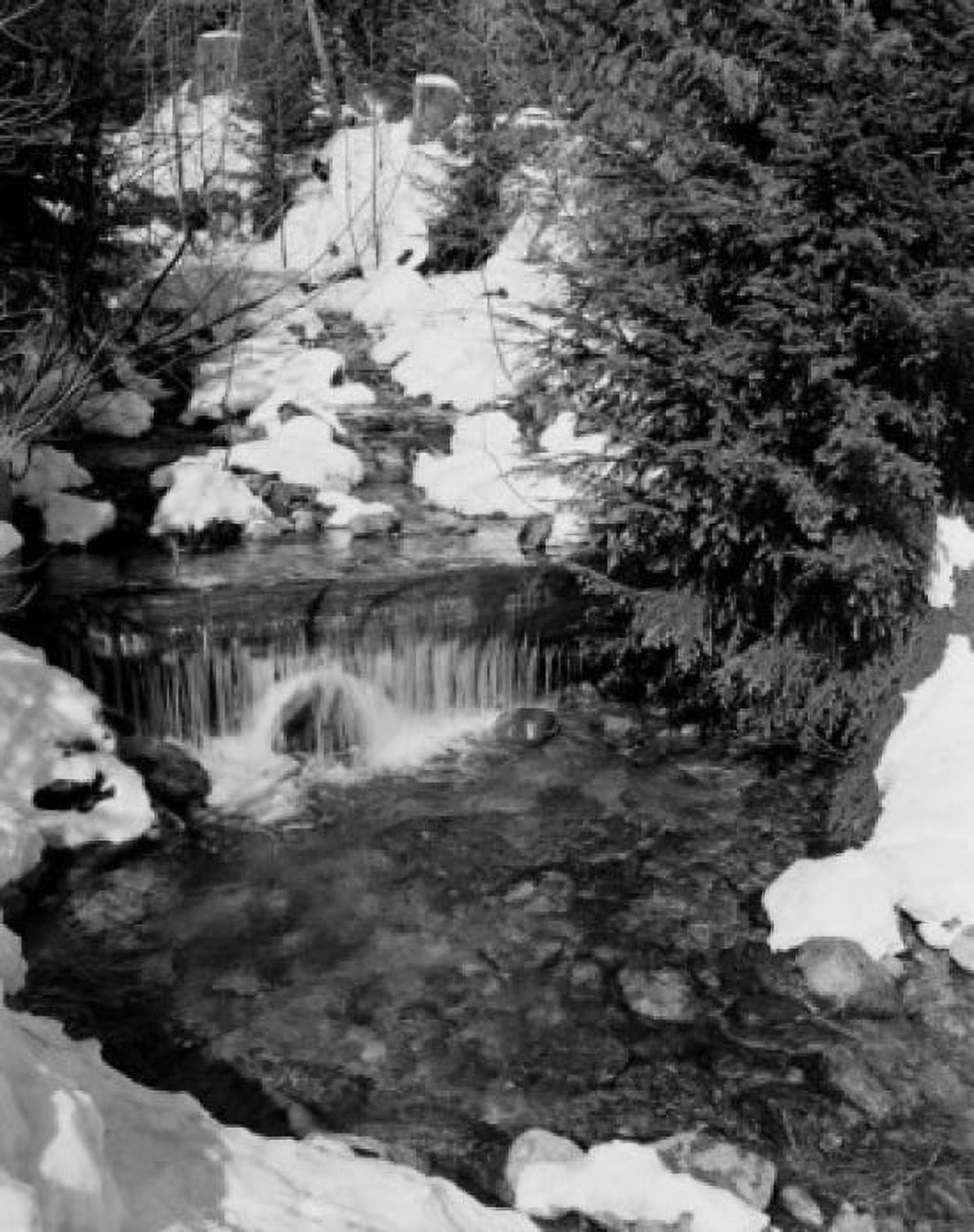 Mountain stream in spring Canvas Art - (18 x 24)