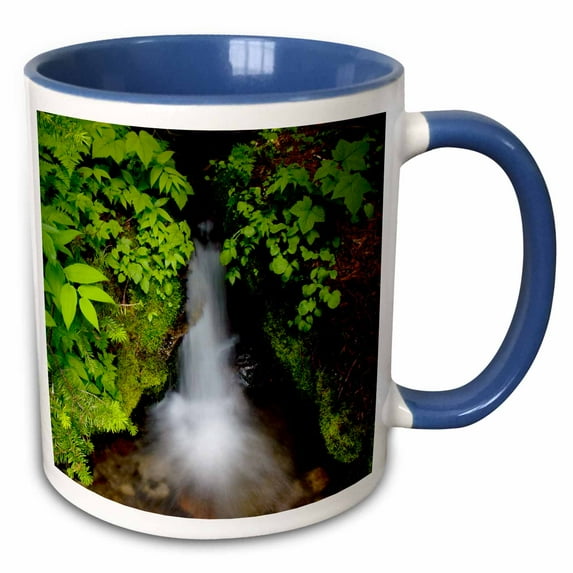 Mountaineer Creek, Alpine Lakes Wilderness, Washington, USA. 11oz Two-Tone Blue Mug mug-208420-6