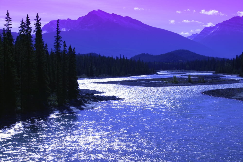 Mountains And A River Jasper National Park Alberta Canvas Art - Don Hammond Design Pics (17 x 11)