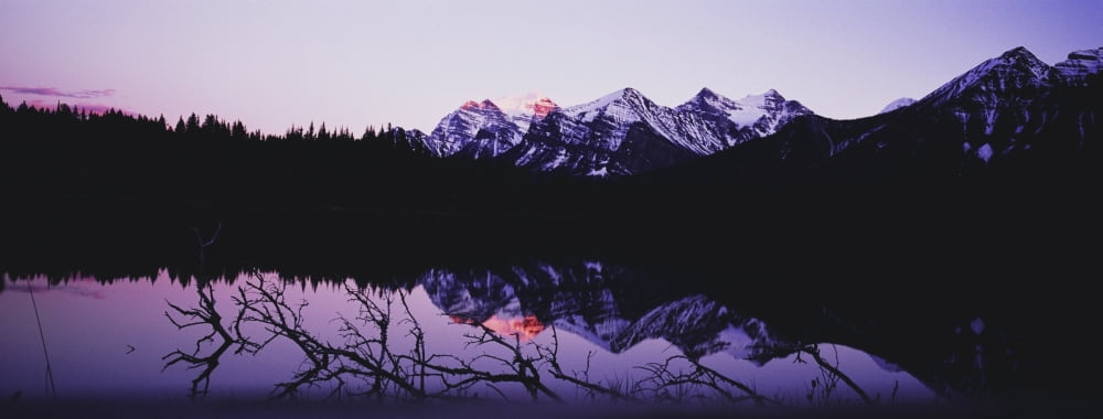 Mountains And Lake At Icefields Parkway Canvas Art - Chris Parker Design Pics (23 x 8)