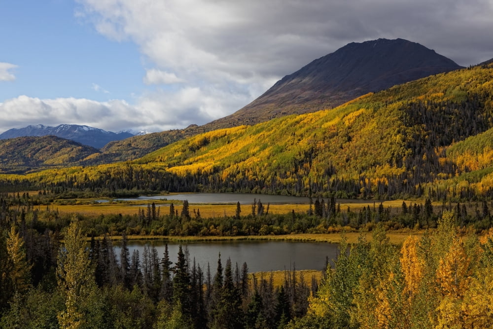 Mountains In Autumn Colour Along The Haines Highway Yukon Canada Canvas Art - Robert Postma Design Pics (36 x 24)