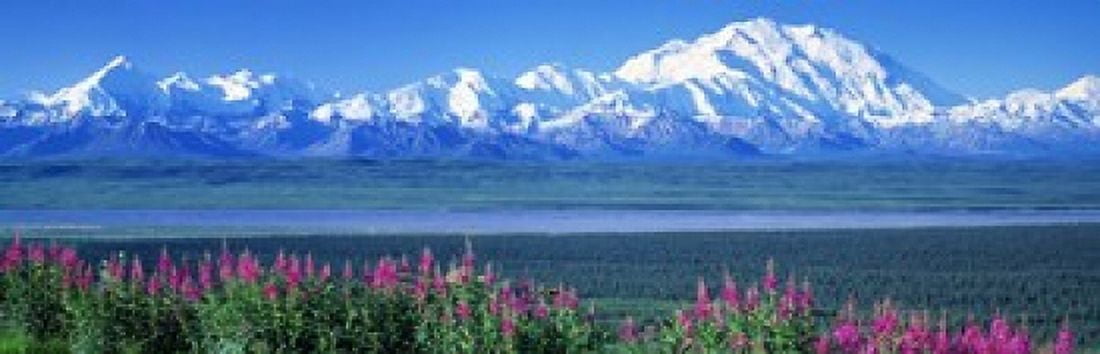 Mountains & Lake Denali National Park AK USA Canvas Art - Panoramic Images (18 x 6)