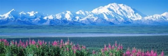 Mountains & Lake Denali National Park AK USA Canvas Art - Panoramic Images (36 x 12)