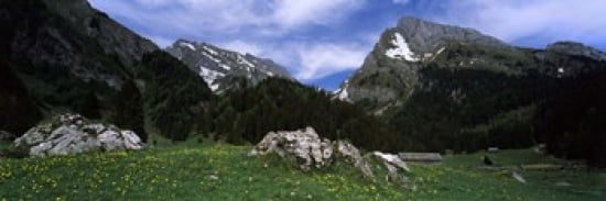 Mountains in a forest Mt Santis Mt Altmann Appenzell Alps St Gallen Canton Switzerland Canvas Art - Panoramic Images (36 x 12)