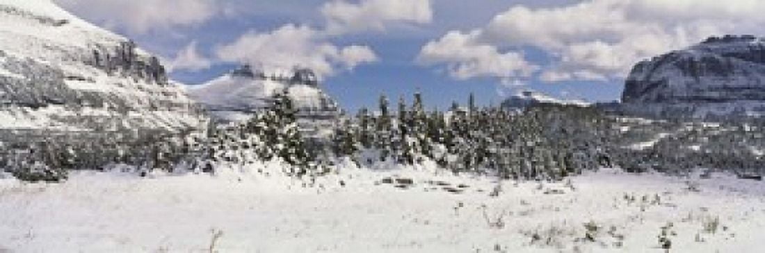 Mountains with trees in winter Logan Pass US Glacier National Park Montana USA Canvas Art - Panoramic Images (18 x 6)