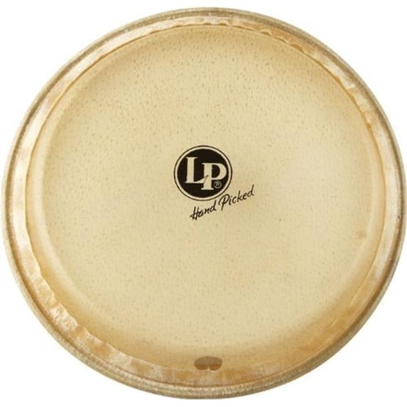 Mounted Junior Conga Head, Large