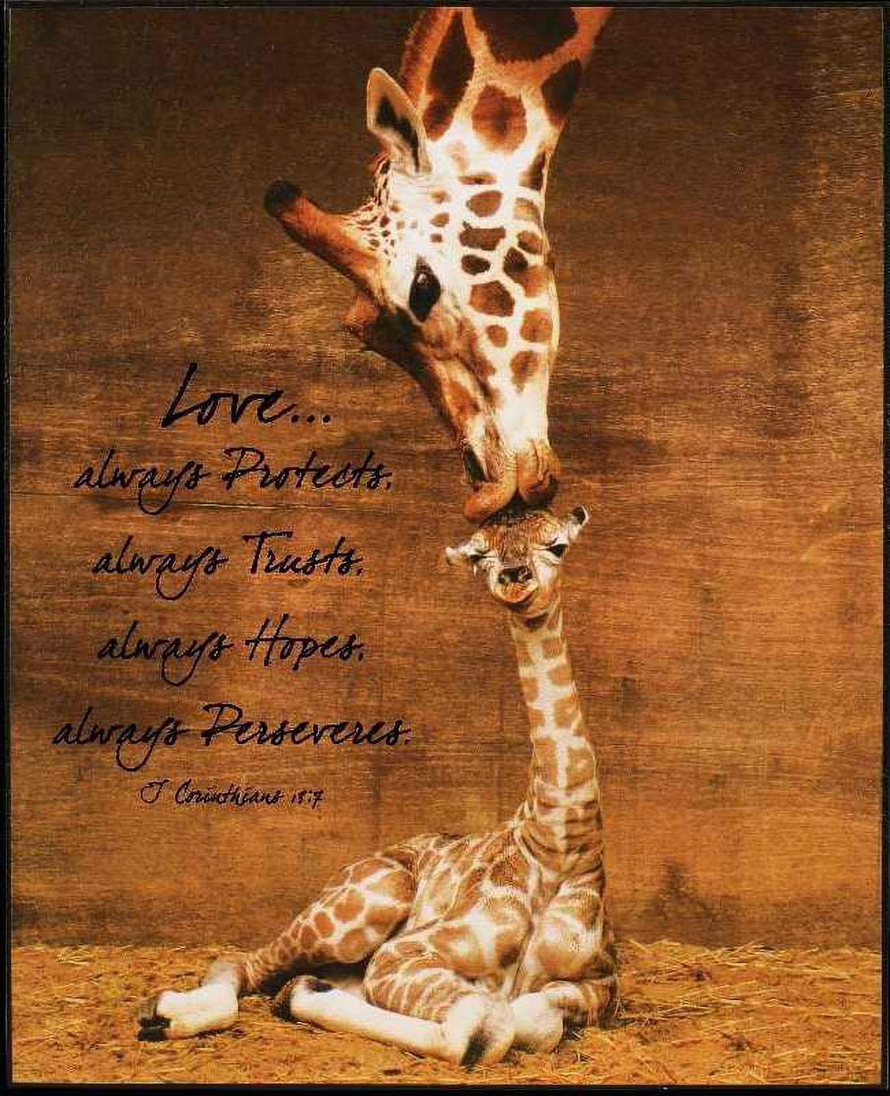 Mounted Print-Giraffe/First Kiss (13\, image size:1300x1600