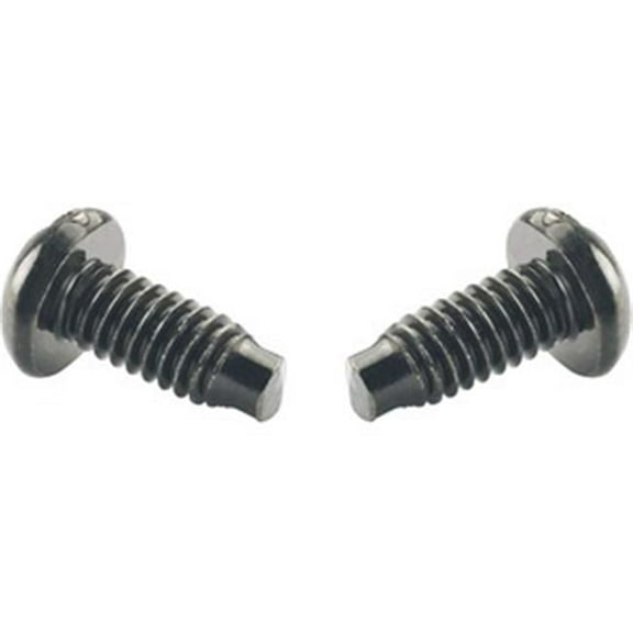 Mounting Screw, Black