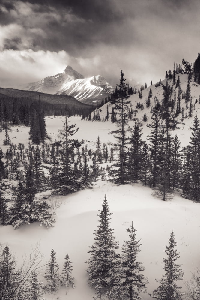 Mountt Sarbach And The North Saskatchewan River In Winter - Banff National Park Alberta Canada Canvas Art - Darwin Wiggett Design Pics (11 x 17)