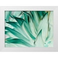 thumbnail image 1 of Mourier, Lily 18x15 White Modern Wood Framed Museum Art Print Titled - Prickle, 1 of 4