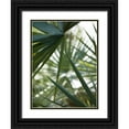 thumbnail image 1 of Mourier, Lily 19x24 Black Ornate Wood Framed with Double Matting Museum Art Print Titled - Transcending II, 1 of 4