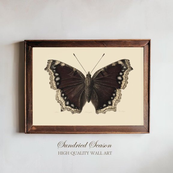 Mourning Cloak Butterfly Vintage Insect Natural History Wall Decor, Unframed Paper Poster 8x10in