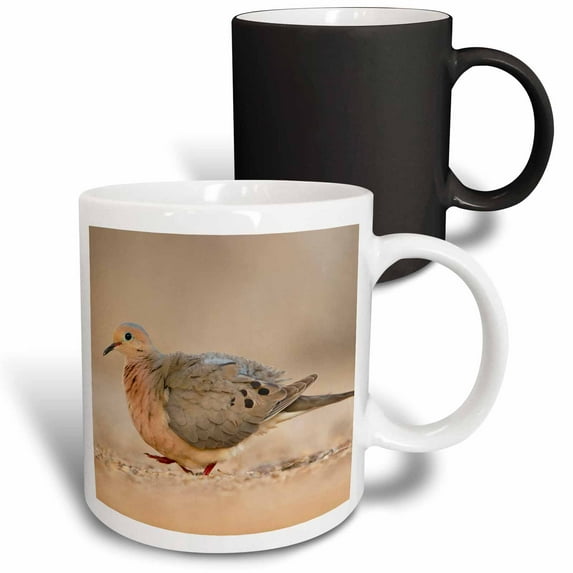 3drose, Mourning Dove Bird (zenaida Macroura) Walking - Us44 Ldi0987 - Larry Ditto, 11oz Magic Transforming Mug