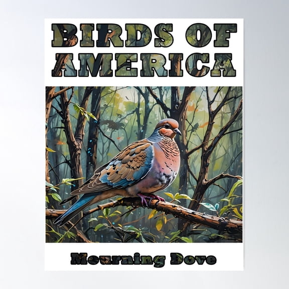 Mourning Dove - Birds Of America Series Poster Wall Art, Modern Wall Decor For Living Room Bedroom, 24x36 UNFRAMED