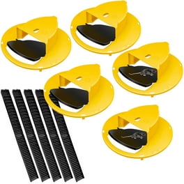 https://i5.walmartimages.com/seo/Mouse-Bucket-Trap-5-Pack-Mouse-Automatic-Trap-Bucket-Flip-Lid-Mice-Trap-Slide-Barrel-Cover-Mouse-Catcher_2c1cfeab-2d57-4494-99ce-fcb20c0f57db.466a18cebbb7f3330aeea97ae0c46642.jpeg?odnHeight=264&odnWidth=264&odnBg=FFFFFF