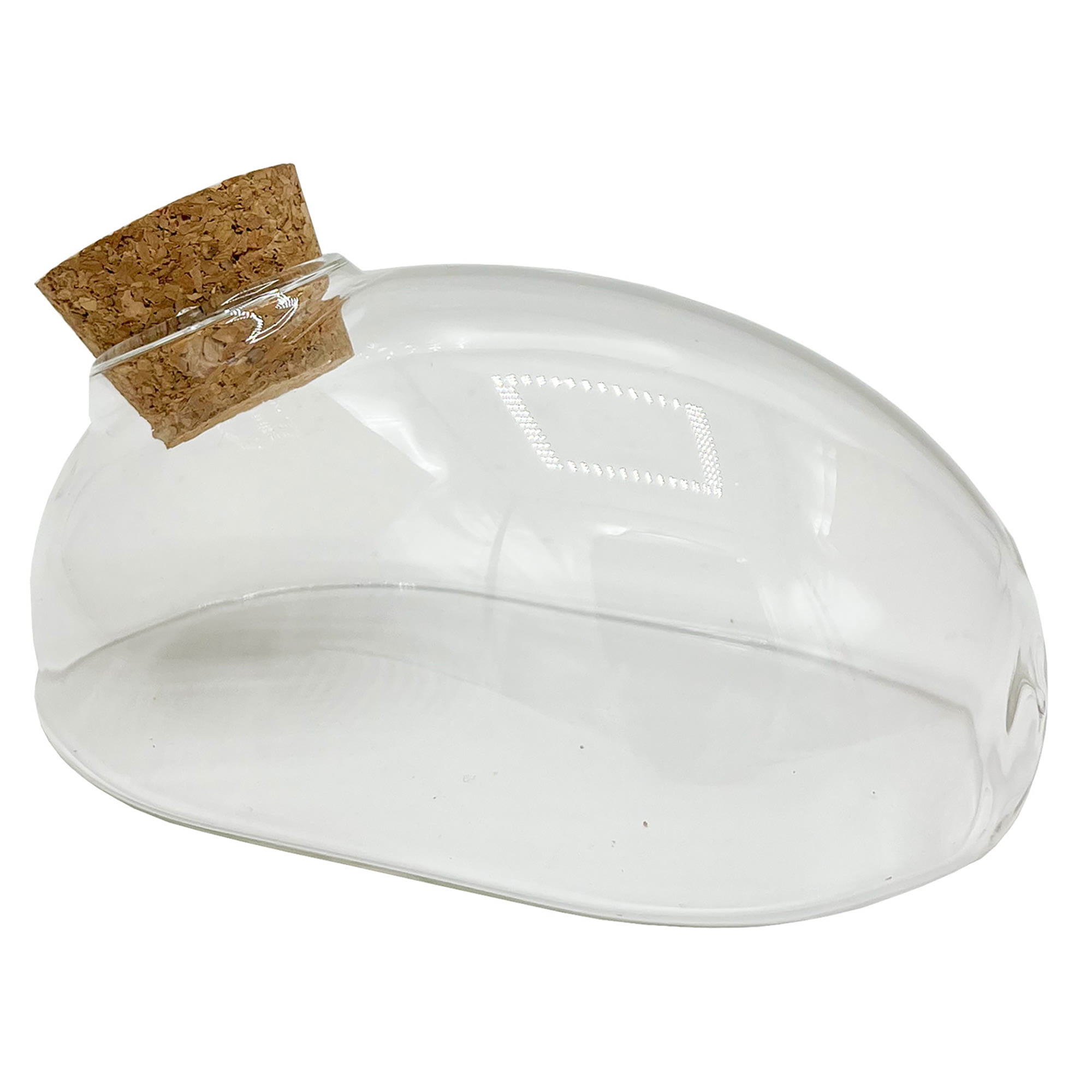 Small Clear Glass Terrarium with Cork Lid