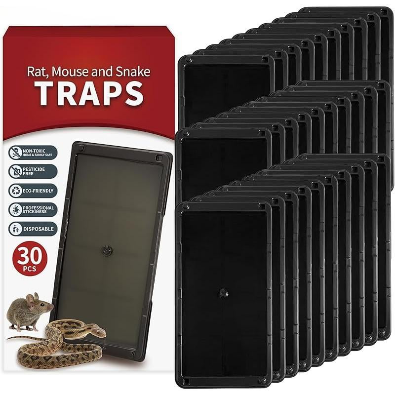 Mouse & Insect Glue Traps, 10 Pack Pre-Scented Sticky Mouse Traps ...